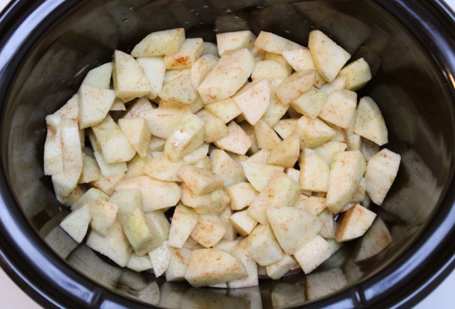 crock pot apple crisp with oats