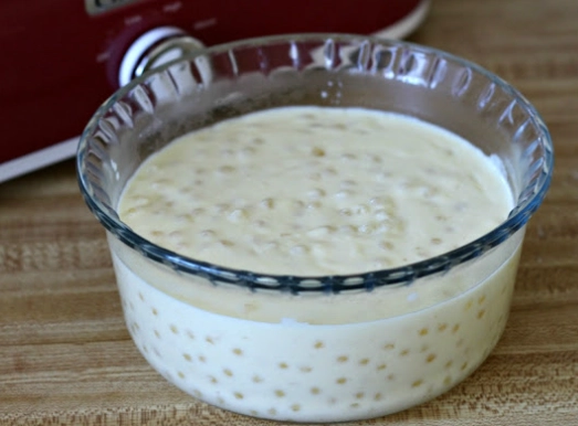 easy tapioca pudding recipe