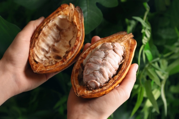 slow cooker hot chocolate