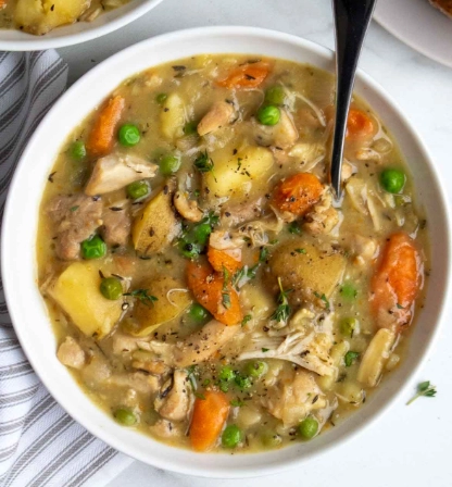 best slow cooker chicken stew