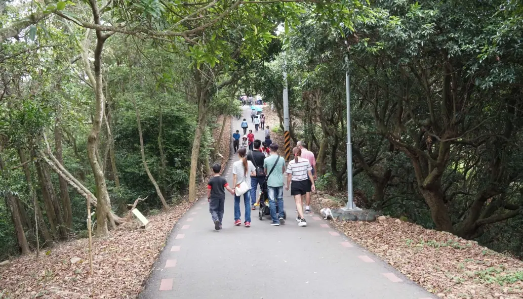 藤山步道交通